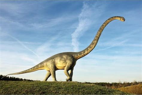 Most Popular Herbivore Dinosaurs