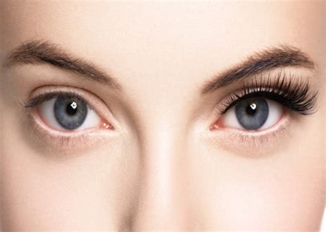 Ultimate Guide to Lash Treatments! - Beautster Blog