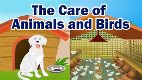 The Care Of Animals And Birds Unit 3 2nd Std Evs English Medium