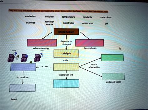 SOLVED: Anabolism inhibitor temperature products catabolism enzymes activation energy substrates ...