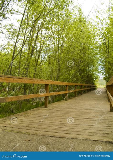 Wood Bridge stock image. Image of road, architecture, nature - 5953693