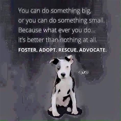 Animal Shelter Rescue Dog Quotes - ShortQuotes.cc