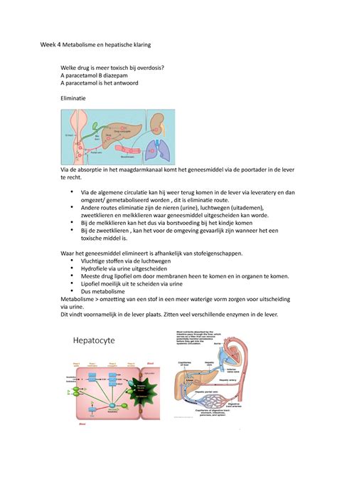 Hoorcollege Week Week Metabolisme En Hepatische Klaring Welke