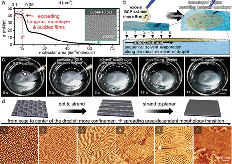 Gradual Morphology Transition Of ISA From The Sequential Solvent