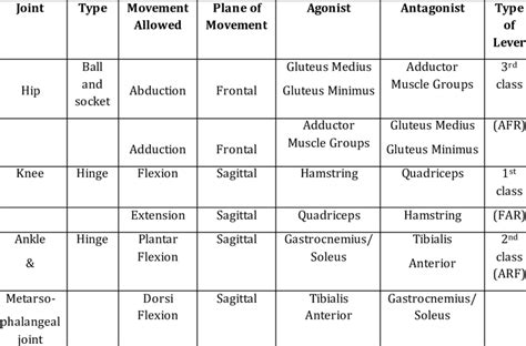 Biomechanical analysis of tinikling diagonal step. | Download Scientific Diagram