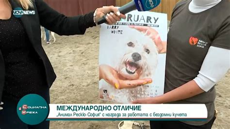 "Анимал Рескю- София" с награда за работата с бездомни кучета - YouTube