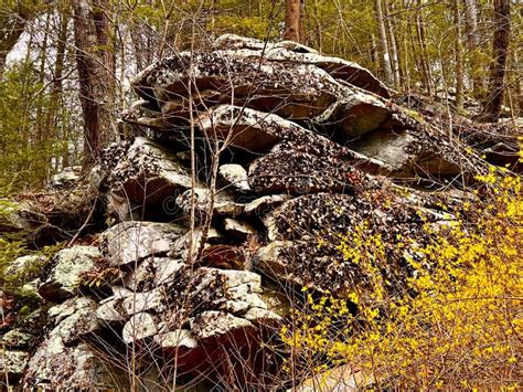 Tussey Mountain in Pennsylvania Stock Image - Image of plant, autumn ...