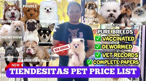 UPDATED TIENDESITAS PET PRICE LIST 2022 PURE BREEDS SUPER CUTE