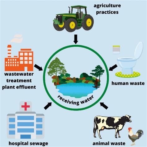 sources  drinking water contamination faecal pollution   common