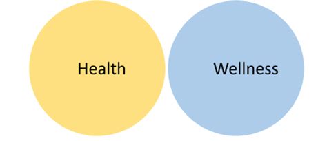 health  wellness  basics  health wellness  fitness