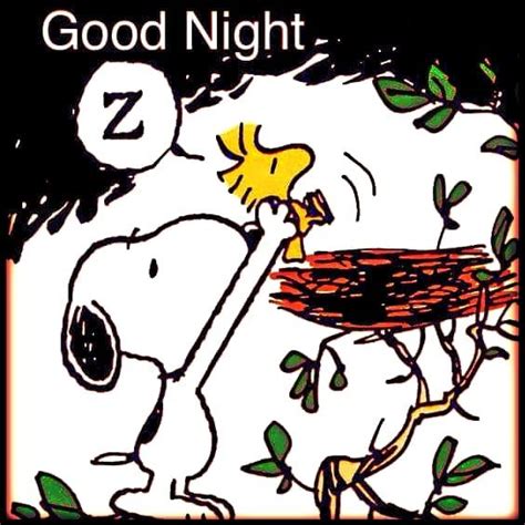 Snoopy Good Night Quote Pictures Photos And Images For Facebook