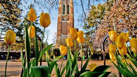 MSU offers Zoom backgrounds of campus scenes | MSUToday | Michigan ...