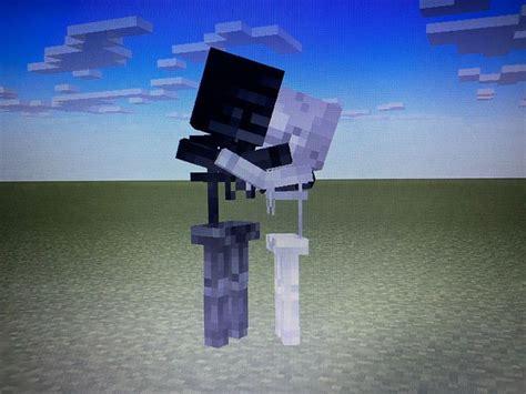 Wither X Skelly Kiss In 2024 Monster School Minecraft Character Skins Minecraft Wither