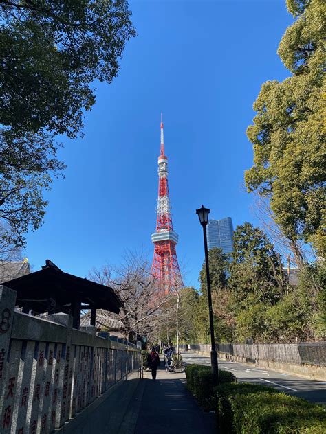 実は都心のパワースポット 東京タワーと最強金運？！芝公園もみじ谷の蛇塚