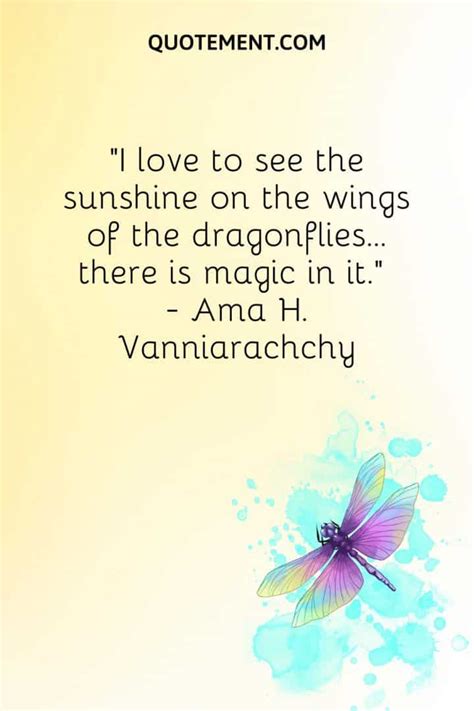 70 Enchanting Dragonfly Quotes For Wisdom And Inspiration