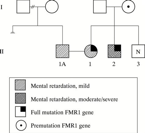 Fragile X Syndrome Pedigree