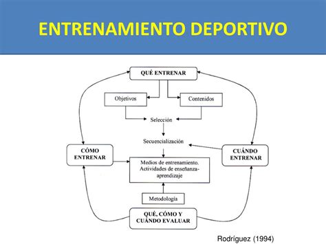 Ppt Aspectos Contempor Neos Del Entrenamiento Deportivo El