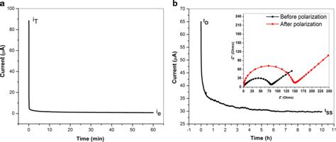 A Typical Dc Polarization Curve For Ss Peo Wt Litfsi Wt