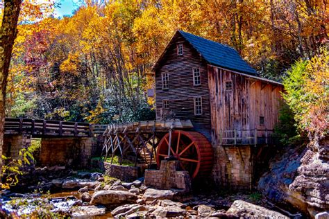 60,000+ Best Fall Foliage Photos · 100% Free Download · Pexels Stock Photos