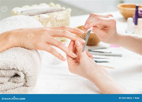 Woman At The Salon Stock Image 70541713