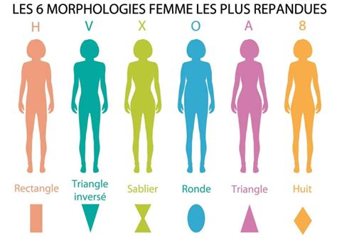 Les différentes morphologies féminines