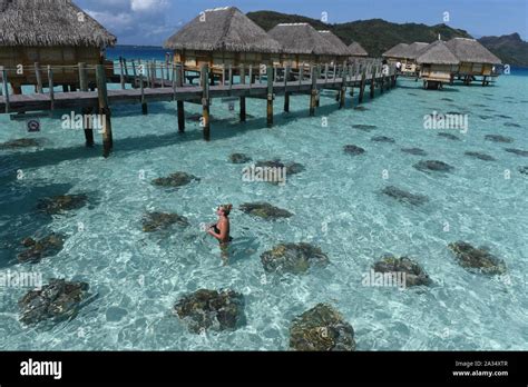 La Isla De Bora Bora Polinesia Francesa 25 Sep 2019 Una Mujer