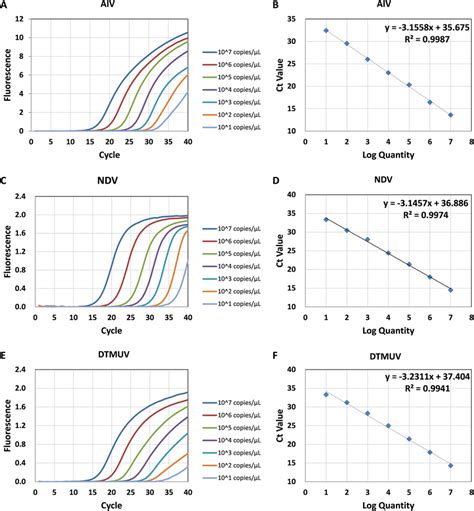 Standard Curves Of The Triplex Real Time Pcr Assay The Linear Range