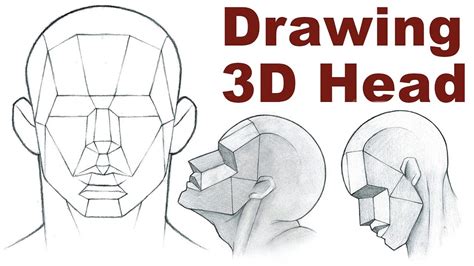 Portrait Drawing Basics 3 3 How To Draw A 3D Head YouTube