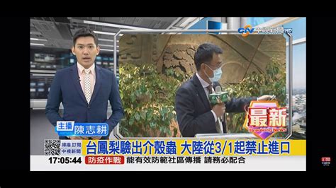 2021 02 26中視1700即時新聞現場 台鳳梨驗出介殼蟲 大陸從31起禁止進口 Youtube