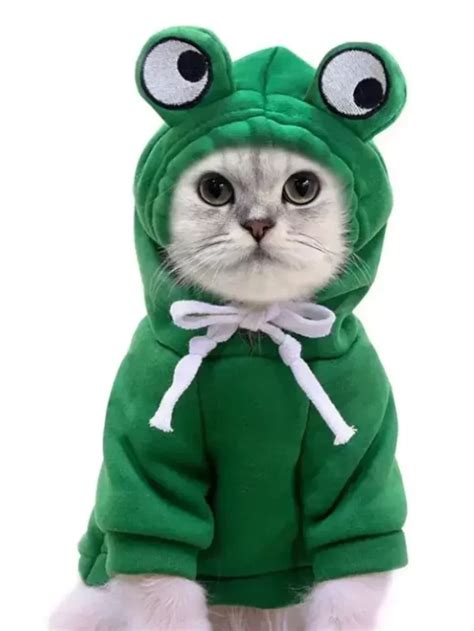 Roupa De Frio Para Gato - Roupa de Frio para Pet: Moletom com Capô para Cachorro e Gato