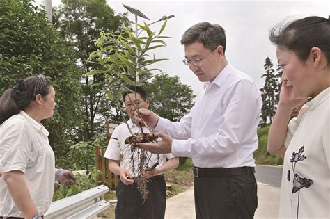 王志杰调研巩固拓展脱贫攻坚成果同乡村振兴有效衔接工作重庆市涪陵区人民政府