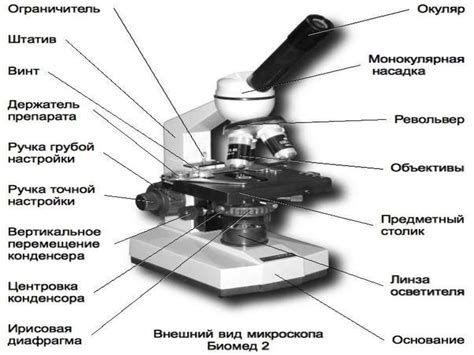 Микроскоп и телескоп - презентация онлайн