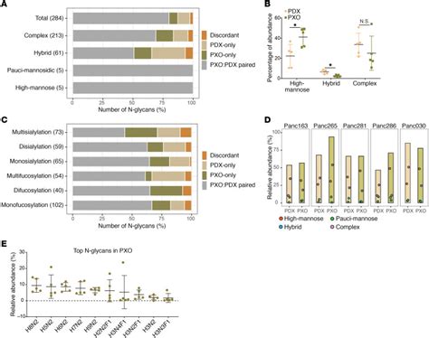 Pdx Derived Organoids Model In Vivo Drug Response And Secrete