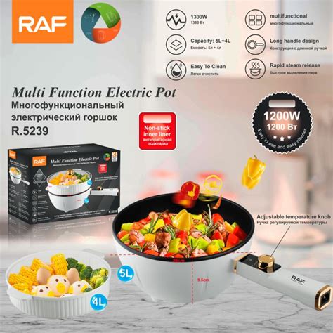 Electric Hot Pot Portable Raf