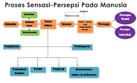 proses persepsi  memori  kognitif anak halaman  kompasianacom