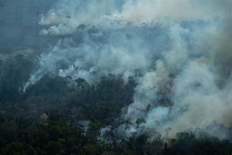 Amazônia Tem Total De Queimadas Acima Da Média Histórica Em Agosto