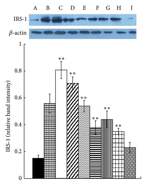 Effect Of Polysaccharides On Protein Expression Of Insr A Irs