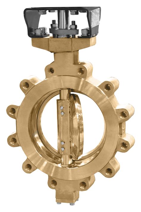 How Does A Triple Offset Butterfly Valve Work At Jeff Rice Blog