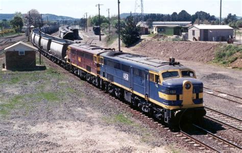 Nswgr 44 Class Locomotive