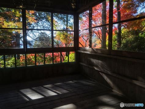 秋も美しい大興善寺 By Paraiba （id：12132800） 写真共有サイトphotohito