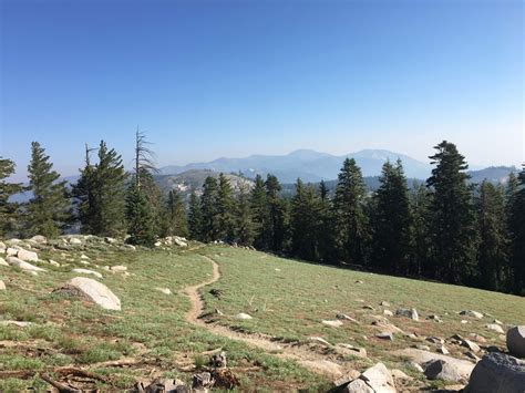 The Tahoe Rim Trail. - The Trek