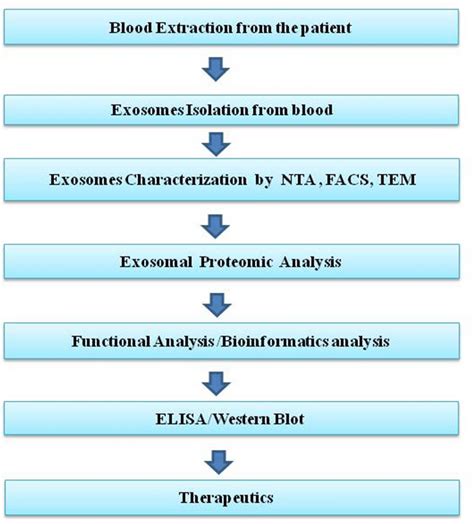 Exosomes Isolation Characterization And Proteome Analysis Of Exosomes