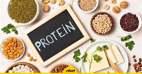 7 Plant Based Protein Rich Superfoods To Build Muscle