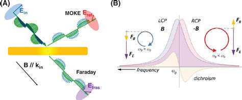 [pdf] Surface Plasmon Resonance In Gold Nanoparticles A Review Semantic Scholar