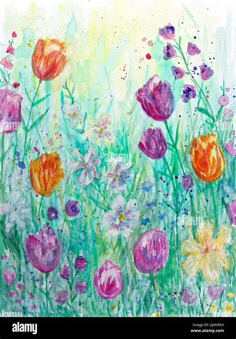 Wildflower Meadow Tulips And Grasses Watercolour Painting Stock Photo