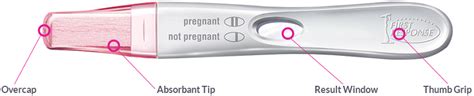 Rapid Result Pregnancy Test First Response™