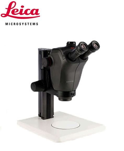 Leica Ivesta Trinocular Stereomicroscope