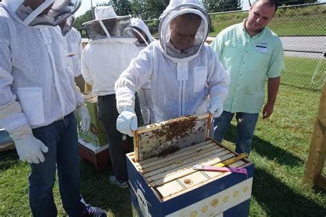 Beekeeping Mistakes You Should Avoid