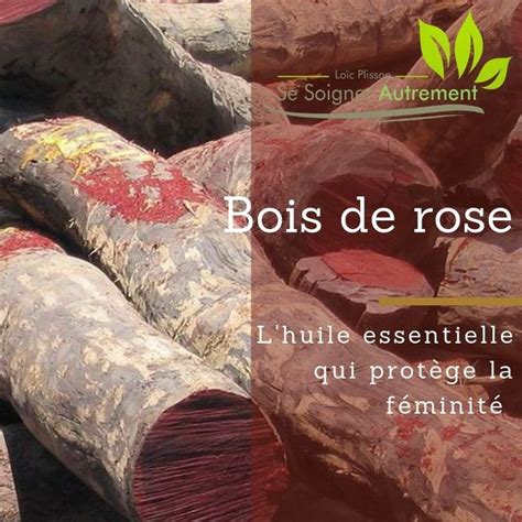 Fiche Solution Phyto Huile Essentielle De Bois De Rose Se