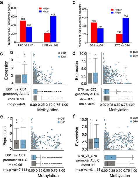 Differentially Methylated Regions And Related Differentially Expressed